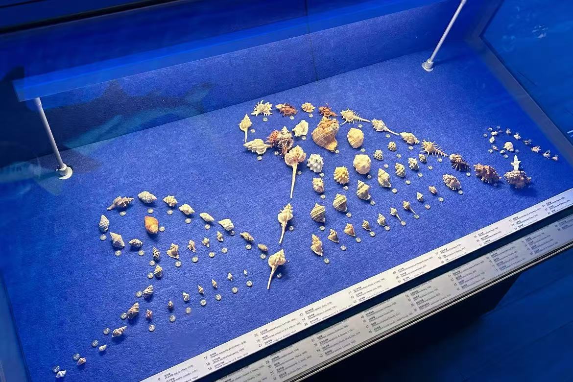 Shandong Museum